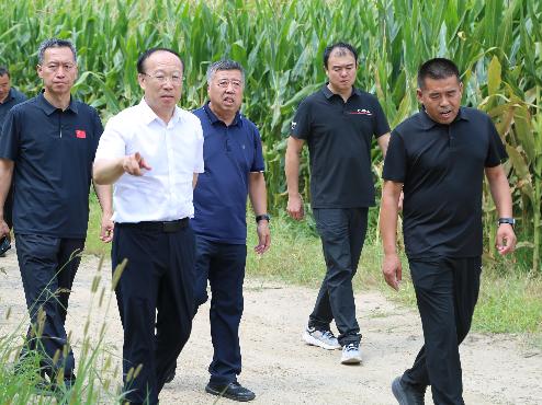 8月11日，市人大常委会开展沙化耕地综合治理专题询问“回头看”